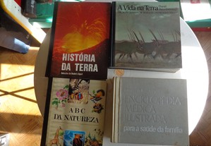 imagem_3