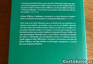 imagem_2