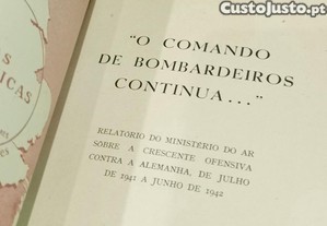 imagem_5