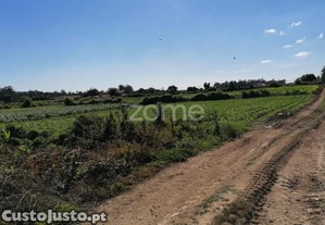 Terreno Rústico Com 5.000 M2 Em Fradelos V.N....