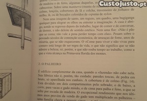 imagem_8