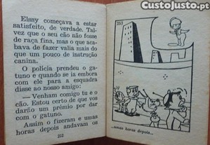 imagem_7