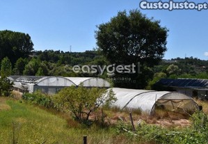Terreno De Exploração Agrícola, Localizado Em...