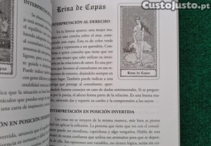imagem_7