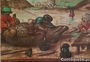 imagem_1