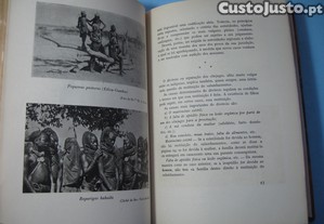 imagem_7