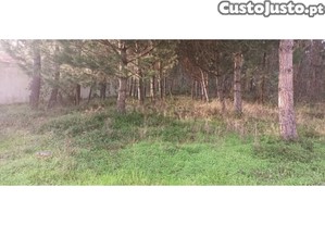 Terreno Localizado Em Zona Urbana Com...