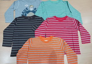 Conjunto de 5 sweatshirts para criança - 3/4 anos