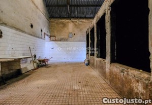 imagem_13