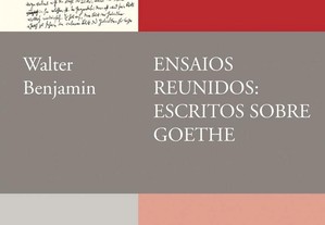 Ensaios reunidos: escritos sobre Goethe