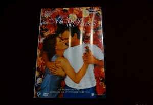 DVD-Um mundo de rosas-Christian Slater