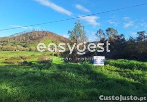 Terreno Rústico Com 4,2 Ha De Confronto Parque...
