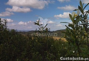 imagem_12