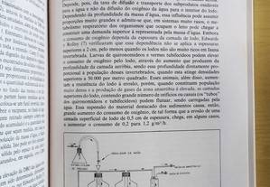 imagem_11