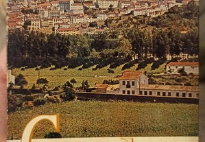 "Coimbra" Manuel Chaves e Castro
