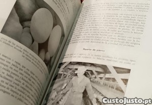 imagem_6