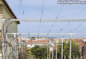 imagem_14