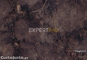 imagem_1