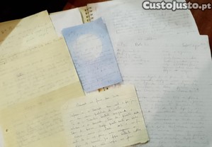 imagem_15