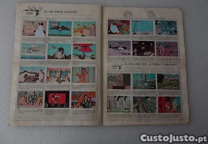 imagem_3