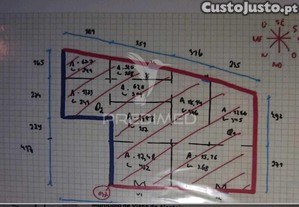 imagem_3