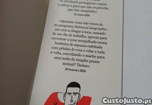 imagem_6