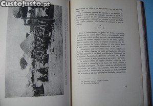 imagem_6