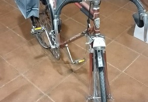 Bicicleta Randaneur