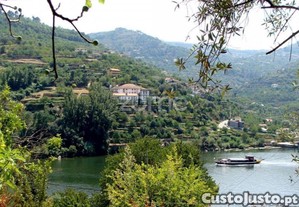 Quinta Em Porto De Rei, Mesão Frio, Com Vistas...