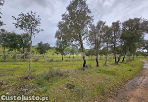 Herdade de sobro alentejo