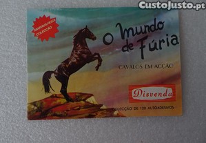 imagem_1