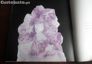 imagem_9