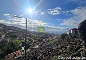 imagem_11