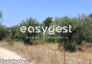 Terreno Rustico Com 640M2, Localizado A 10Min...