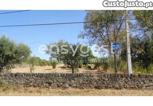 Terreno Rustico Situado Em São Miguel De Acha,...