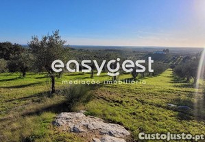 Terreno Rústico Com 40.500 M2 Localizado Na...