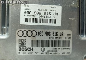 imagem_4