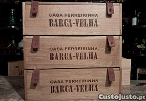 imagem_1