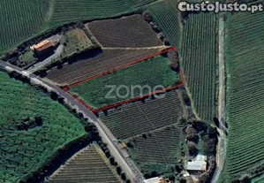Terreno Rústico Em Aldeia Gavinha, Alenquer