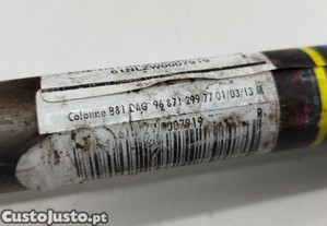 imagem_4