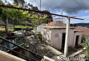 imagem_10