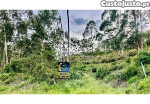 Terreno Para Construção Com Área De 11 Mil M A...