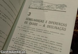 imagem_6