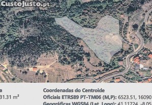 imagem_5