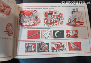 imagem_2