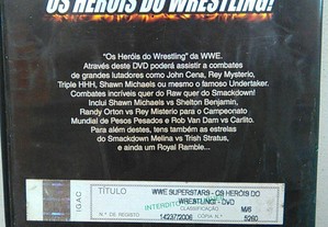 imagem_4
