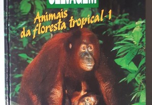 Vida Selvagem: Animais da Floresta Tropical