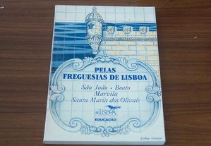 Pelas Freguesias de Lisboa São João,Beato,Marvila,Santa Maria dos Olivais de Carlos Consiglieri