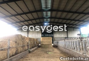 Espaço Industrial Com Área Térrea Pronto A...