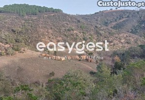 Herdade Com 190 Ha Localizado Em Portela Da...